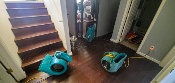 Best Flood restoration services  in Morton, WA