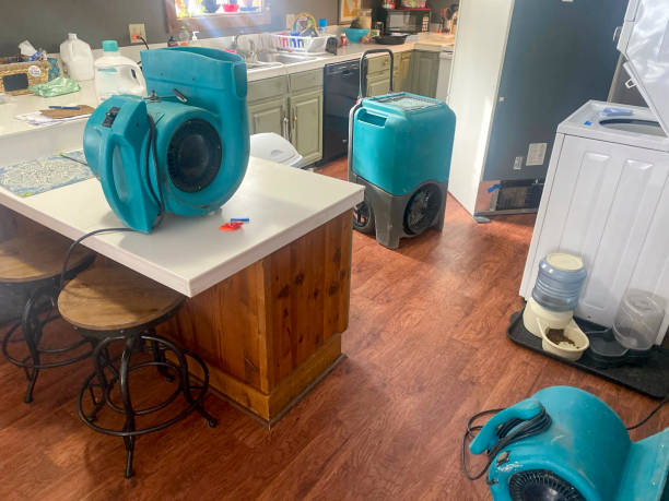 Best Water damage restoration mold remediation  in Morton, WA