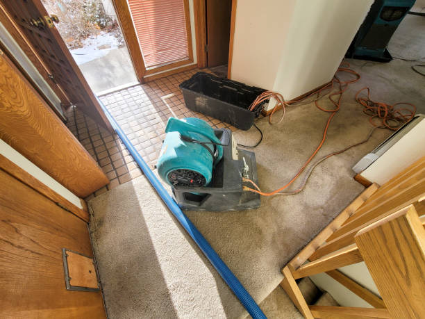 Best Water damage restoration near me  in Morton, WA