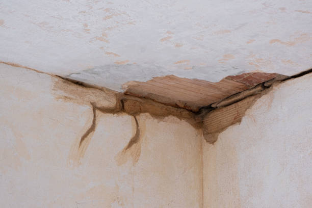 Water damage restoration insurance claims in Morton, WA