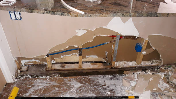 Best Carpet water damage restoration  in Morton, WA