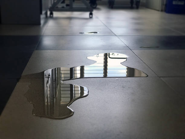 Carpet water damage restoration in Morton, WA