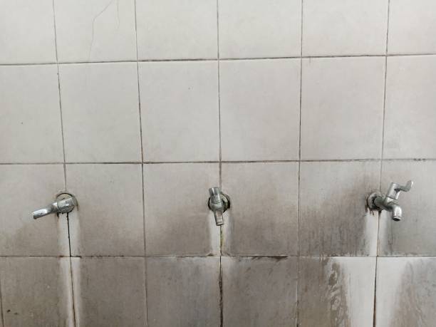  Morton, WA Water damage restoration Pros