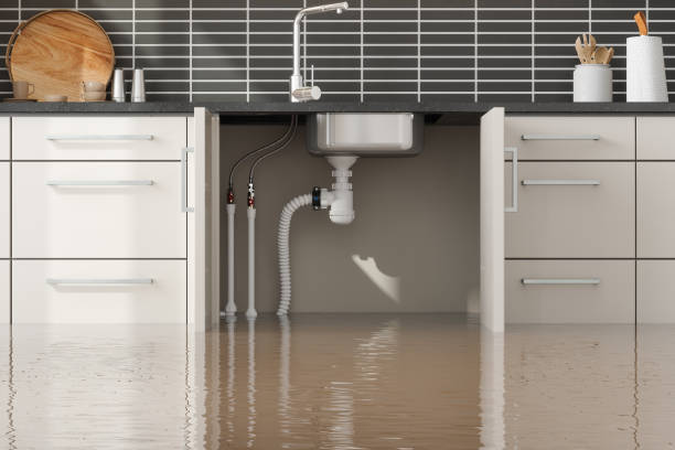 Best Residential water damage restoration  in Morton, WA