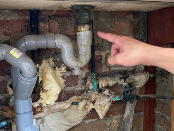 Best Carpet water damage restoration  in Morton, WA