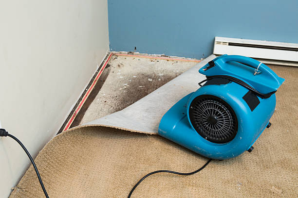 Water damage restoration mold remediation in Morton, WA