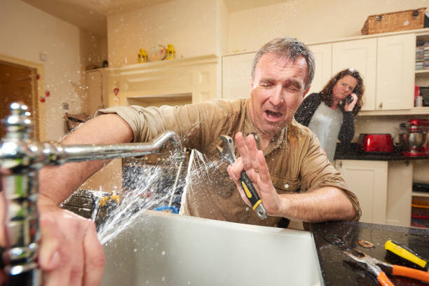 Best Water damage restoration near me  in Morton, WA